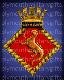HMS Salamander Magnet